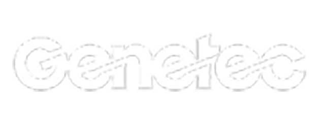 genitec-héros-miniature