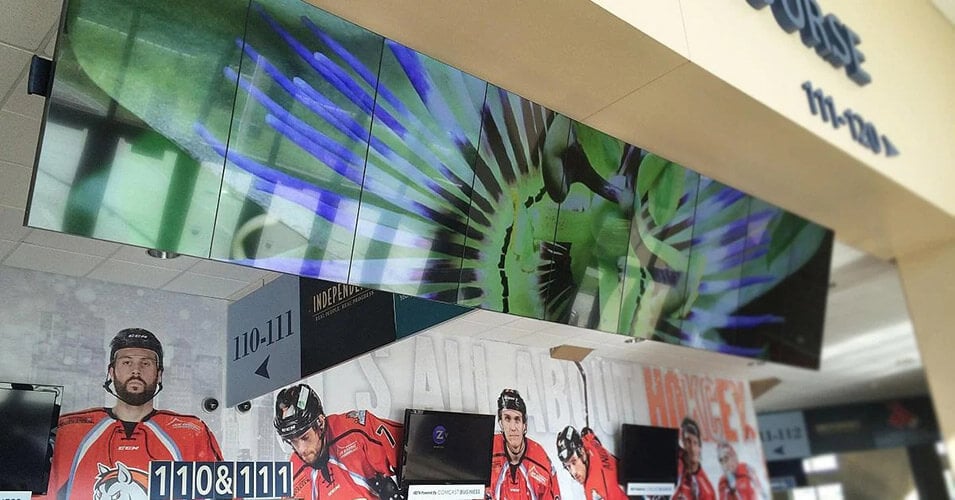 Mur vidéo suspendu dans la Silverstein Arena affichant la photo d'une fleur, avec des joueurs de hockey affichés sur un mur derrière.